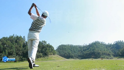 金鳳凰地產漫游